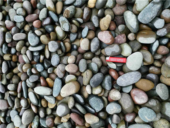 5937ce8046905.jpg mmexport1494045985935 (2).jpg